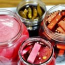 순자농장 이미지