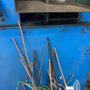 수원-0150 이미지