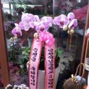 회진명덕초등학교 이미지