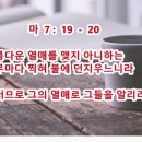하늘과열매(주) 이미지