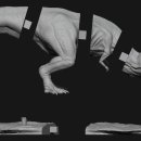 티렉스(TREX)
