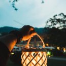 벚꽃주유소 이미지