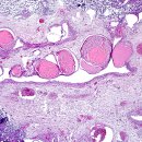 이과수비뇨기과의원 이미지