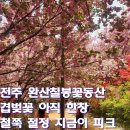 눈이부숑 | 전주 완산칠봉꽃동산 재방문 후기 겹벚꽃 아직 한창 철쭉까지 절정 전주 봄꽃 명소 추천