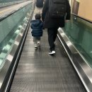 사림로99번길 | [창원] 도대체 창원에 할게 뭐가 있다고 그렇게 감?
