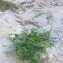 너래농원 이미지