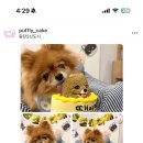 푸플리 케이크 이미지