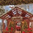 현대 | 대구 더현대 크리스마스 스탬프투어 후기