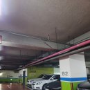 얼큰식당 | 군포 산본역 청도 미나리식당 얼큰한 산본 샤브샤브 후기