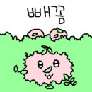 프루타베이커리