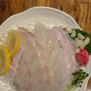 오징어청춘 이미지