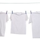 더하얀세탁 이미지