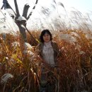 한가한 오후 이미지