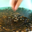 괴산청국장 이미지