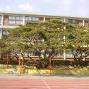 양지초등학교 이미지
