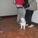 풍경동물병원 이미지