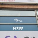 새솔태권도 이미지
