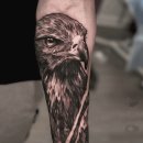 5.25.sun.흐림.삼국지 64 ＜칸트 평화론＞장송,유장,법정,왕루 이미지