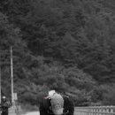 대관령한우타운 이미지