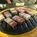 마포갈매기 이미지