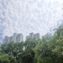 구포멸치국수 - 화성시 행정서로3길 26-20 | 구포멸치국수