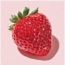 아이엠미헤어 대전둔산점 | 0. 둔산동 미용실 아이엠미헤어 허쉬컷 하고 만족했어요