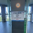 한라산 동충하초 1관 2관 | 목포해상케이블타고 유달산 등산로 따라 걷기 뚜벅이 여행 후기