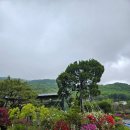 소령원장단콩두부마을 이미지