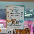 도안 ECO 종합동물병원 이미지