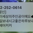 정경희헤어커커