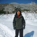 축령산풍경