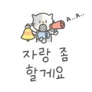 조작가스냅