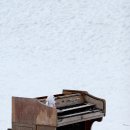 수진목장 이미지