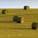 리드(lead) 이미지