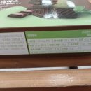 서주제과주식회사