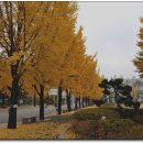 춘천교육대학교 이미지