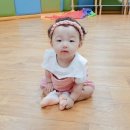 도미솔악기 이미지