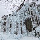 얼음골가든식당 이미지