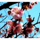 인과원약국 이미지