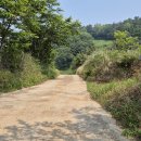 옥 태양광발전소 이미지