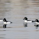 작은항구 이미지