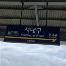 20240716_대구당일치기투어
