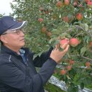 기산축산 이미지