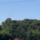 신세대휴게소 이미지