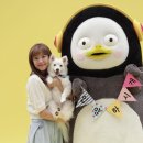 대신마포상회 이미지