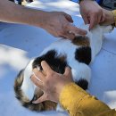 권오성동물병원 이미지