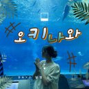 우미가메 | 오키나와 태교여행 ㅣ 만좌모,카이로,츄라우미 수족관 ,편의점 털기까지 완전 정복 DAY2, 일정공유