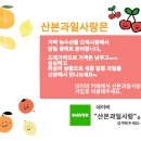 수지과일사랑
