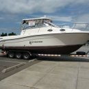 2007 STRIPER 3301 WA 이미지