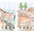 마행 이미지